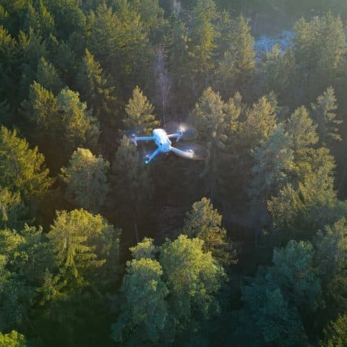 Servicios agrícolas y forestales en Boiro, Barbanza y Galicia