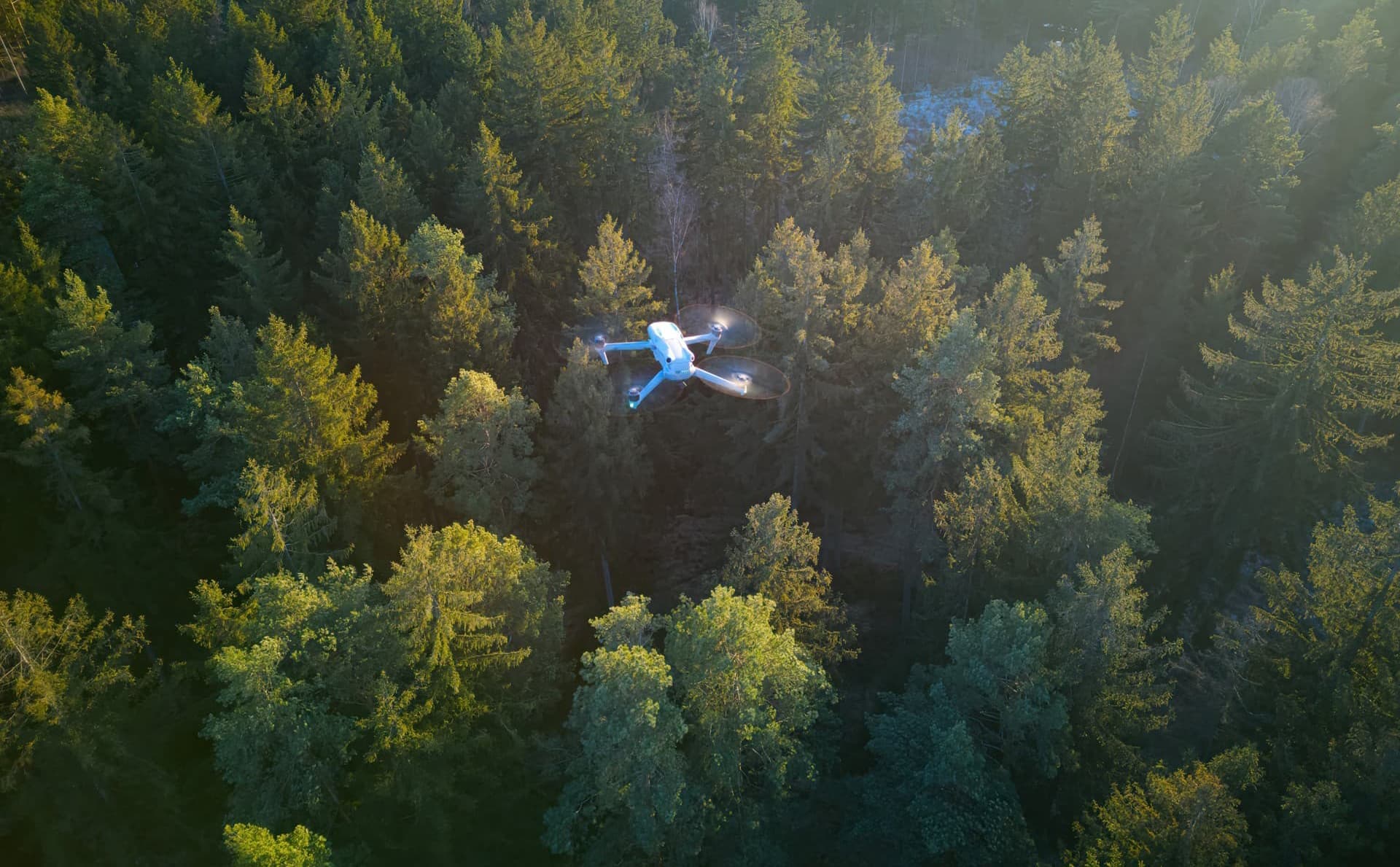 Ameneiro Xestión Forestal, servizos agrícolas e forestais en Boiro