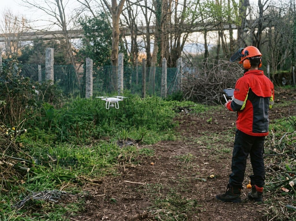 Mantenimiento forestal en Boiro, Barbanza y Galicia