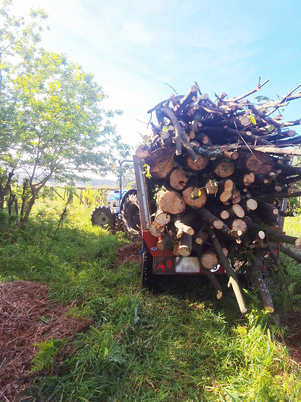 Ameneiro Xestión Forestal, mantenimiento forestal en Boiro