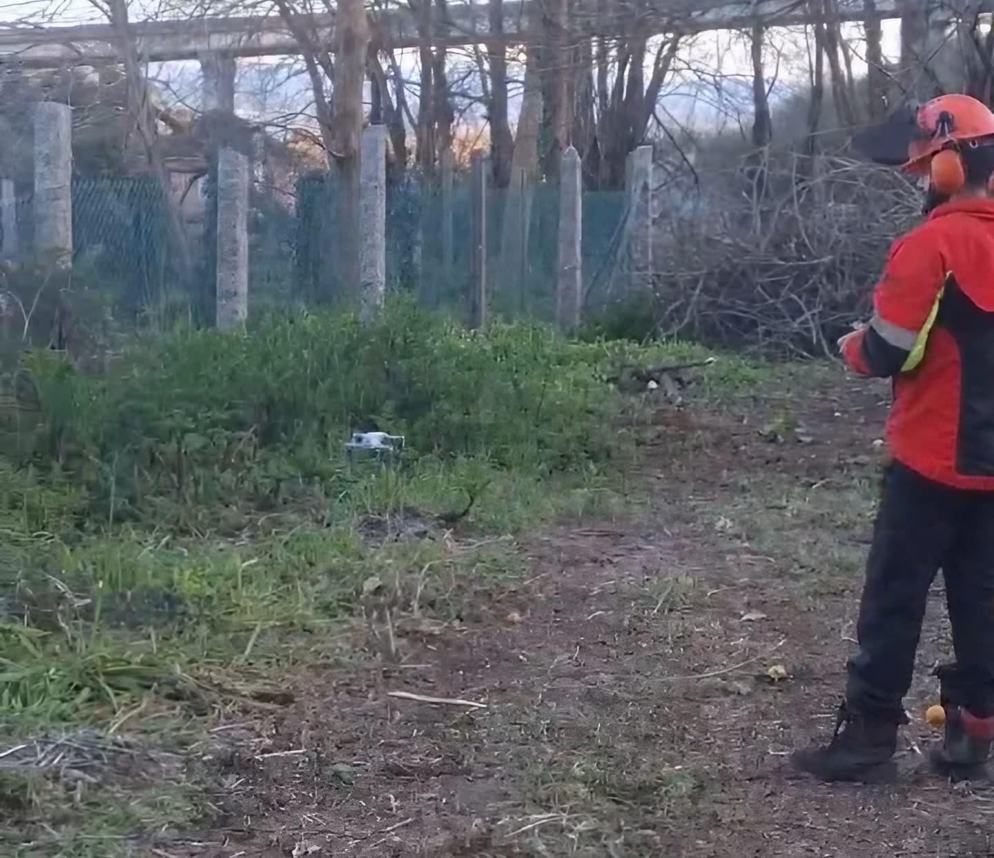 Ameneiro Xestión Forestal, mantenimiento forestal en Boiro