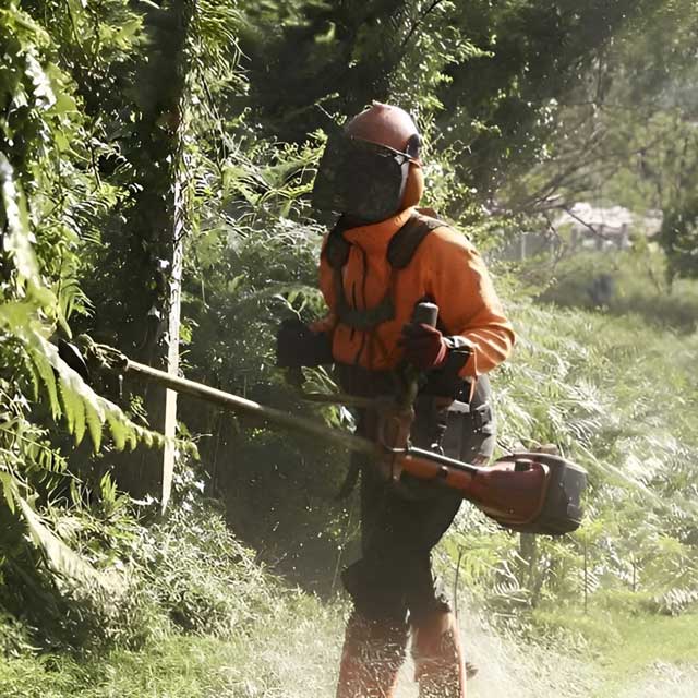Trabajos forestales en Boiro, Barbanza y Galicia