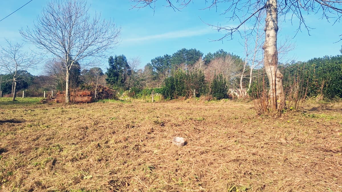 Servizos agrícolas e forestais en Boiro