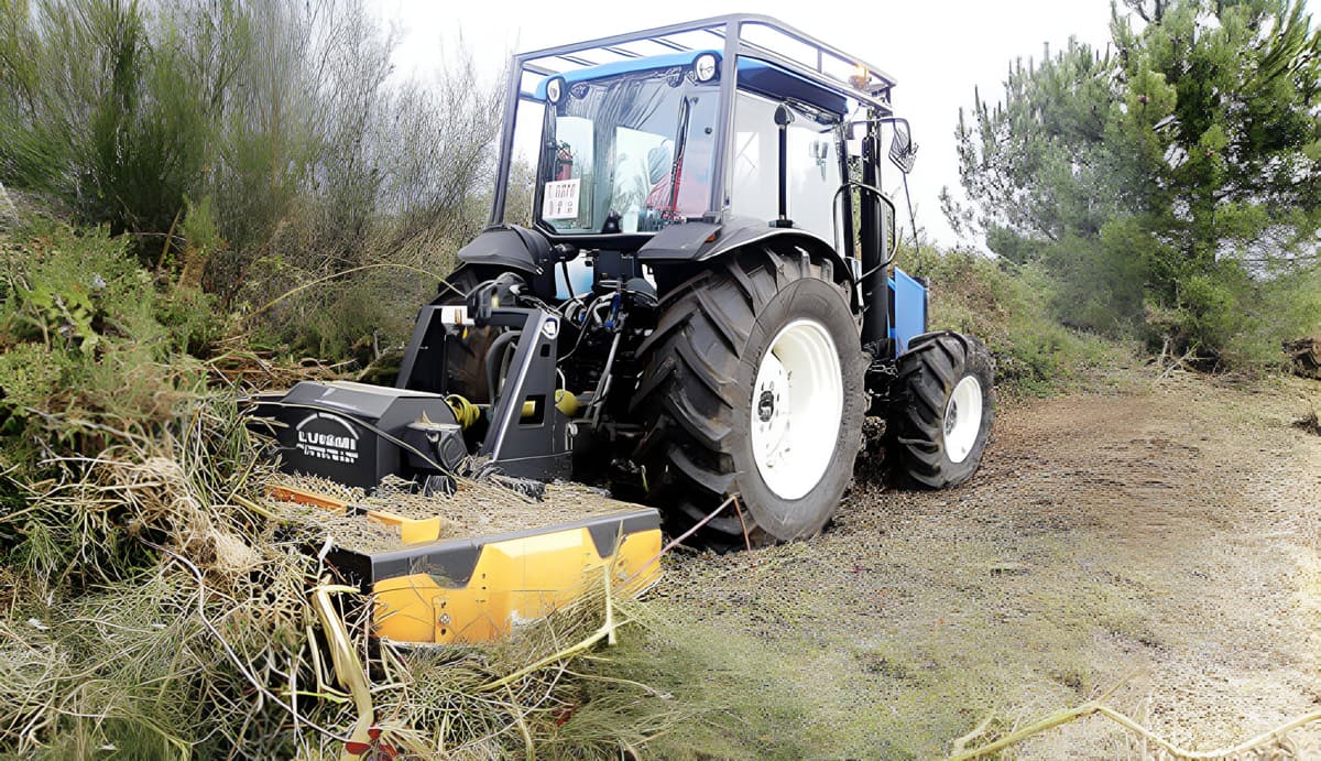 Ameneiro Xestión Forestal