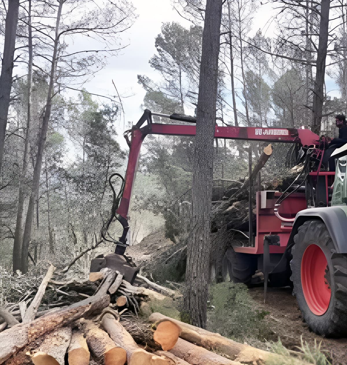 Ameneiro Xestión Forestal