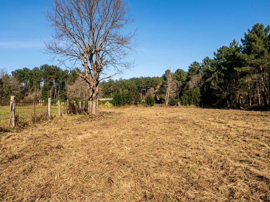Empresa de gestión forestal en Boiro, Barbanza y Galicia